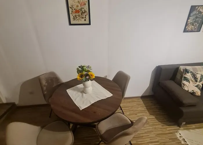Comfortable Apartment