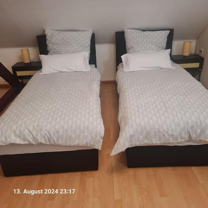 Comfortable Appartement *